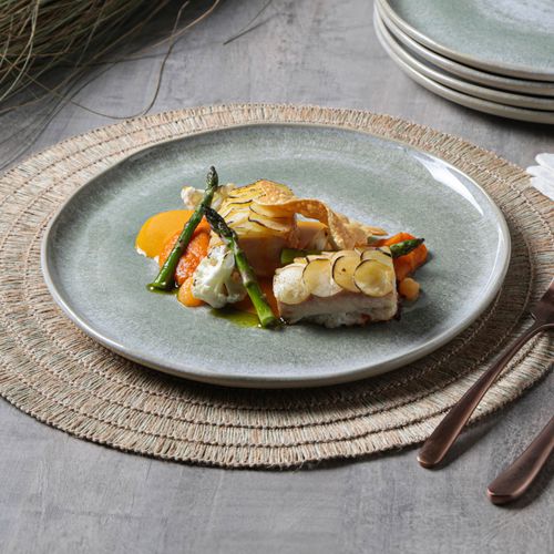Conjunto com 6 Pratos Raso Bio Moss Ø27,5cm