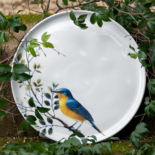Conjunto com 6 Pratos Raso Bio Birdy Ø27,5cm