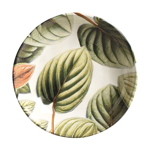 Conjunto com 6 Pratos Fundo Bio Éden