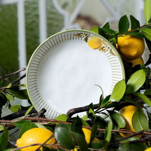 Conjunto com 6 Pratos Fundo Bio Lemon