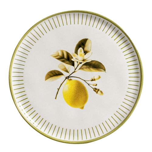 Conjunto com 6 Pratos Raso Bio Lemon Ø27,5cm