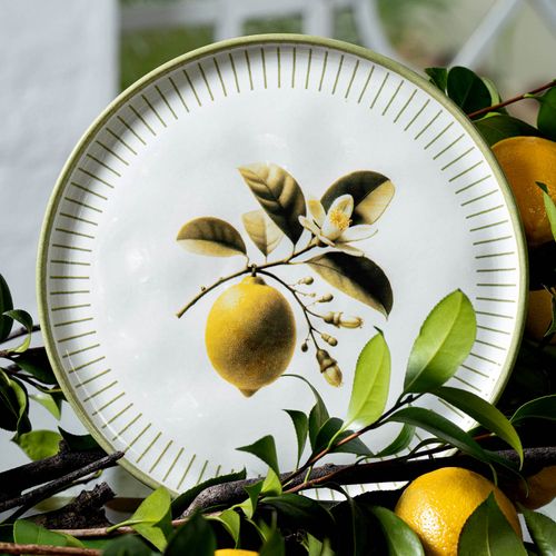 Conjunto com 6 Pratos Raso Bio Lemon Ø27,5cm