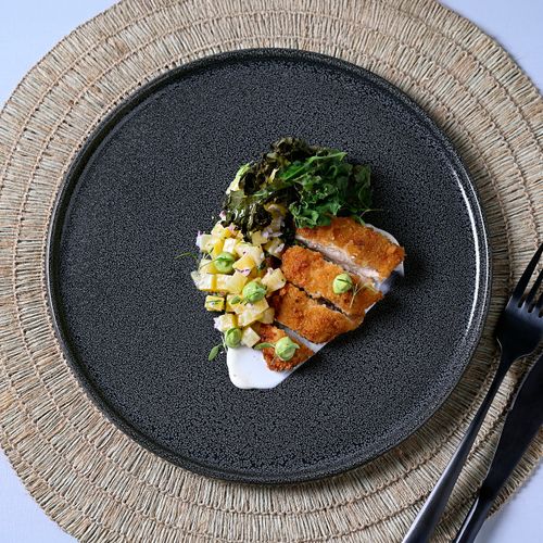 Conjunto com 12 Pratos Raso Basic Dove Ø25cm