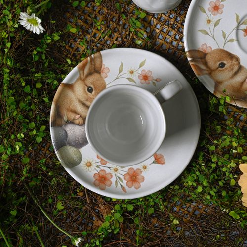 Conjunto com 6 Xícaras De Café com 6 Pires Bio Doce Ninho 120ml