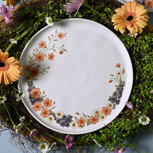 Conjunto com 6 Pratos Raso Bio Doce Ninho Ø27,5cm